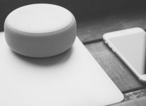 Domain ve  Hosting Hizmeti